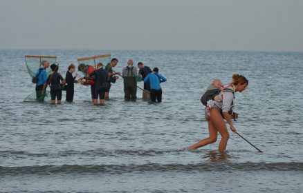 Allons pêcher la crevette Du 19 au 20 oct 2024